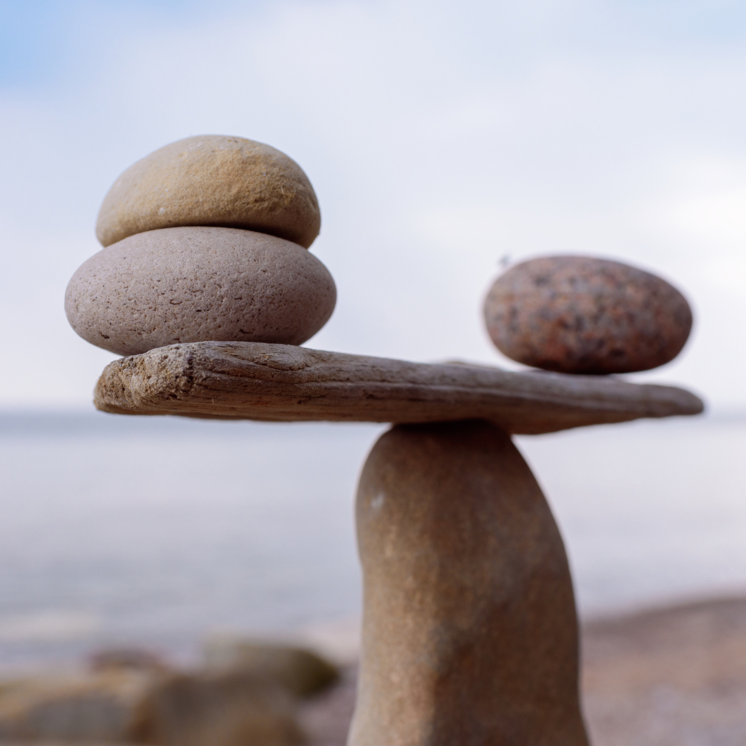 O guia essencial da proteína - porque o equilíbrio é tudo!