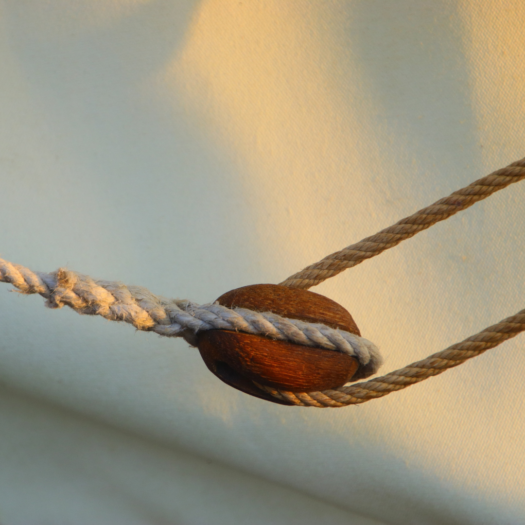 Nutrição é para si. Seja qual for o seu objetivo.